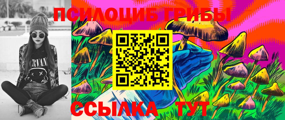 Псилоцибиновые грибы прущие грибы  Вход с VPN  Киржач 